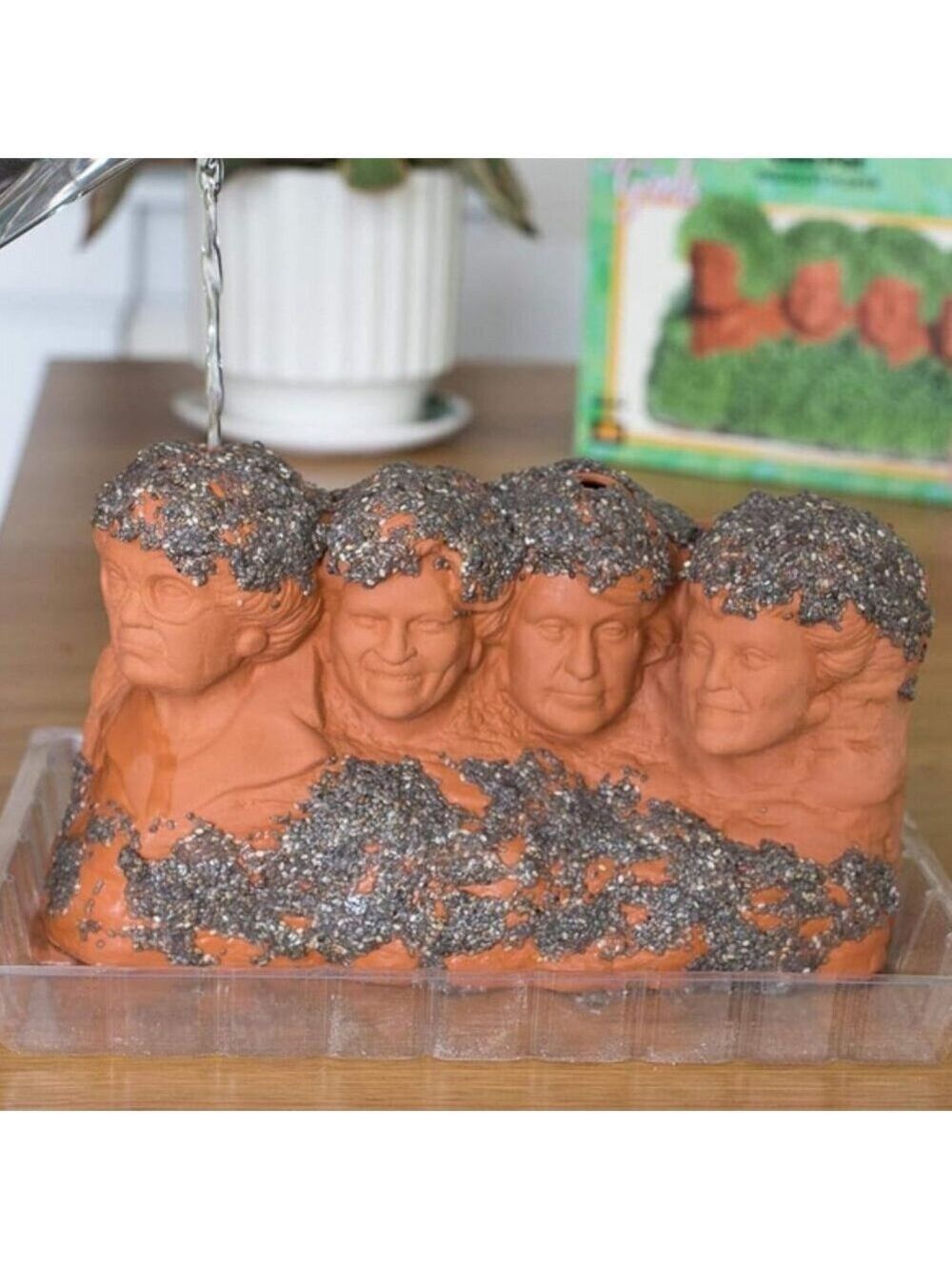 Golden Girls Rushmore Chia Pet Decorative Planter - Picture 3 of 4